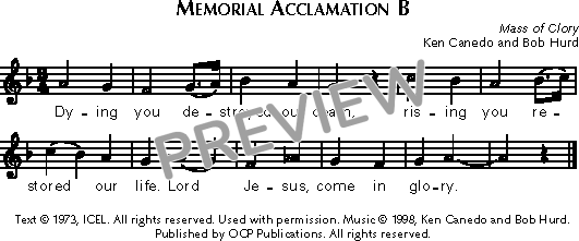 Score placeholder