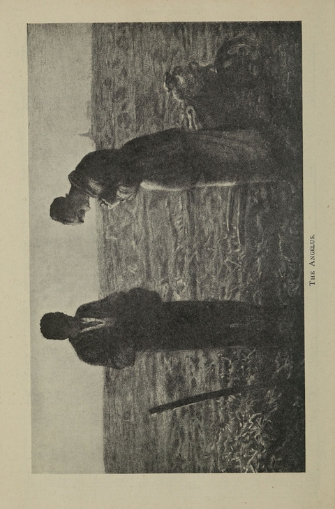 American Church and Church School Hymnal: a new religious educational hymnal page 48