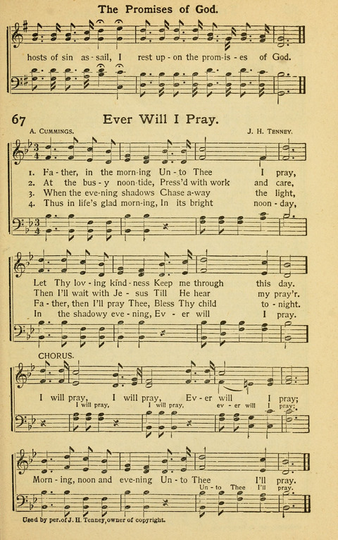 Pentecostal Hymns No. 2: a Winnowed Collection for Evangelistic Services, young people