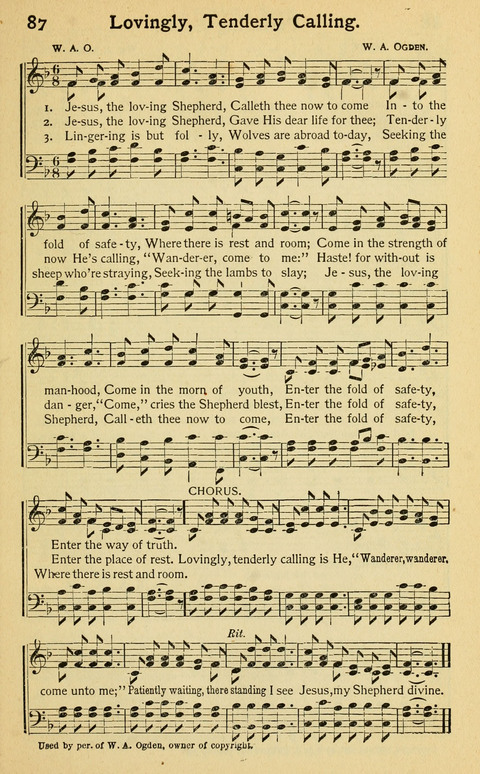 Pentecostal Hymns No. 2: a Winnowed Collection for Evangelistic Services, young people